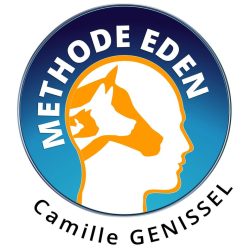 logo ED sans By
